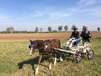 Photo n 38251&#10;SCHILDAU Chpt d'Eu Juniors&#10;Robin Cressent et papa - photo Didier Cressent&#10;Affiche 27 fois&#10;Ajoute le 25/09/2016 17:00:35 par JeanClaudeGrognet&#10;&#10;--> Cliquer pour agrandir <--