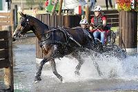 Photo n 38277&#10;SCHILDAU Chpt d'Eu Juniors photo FEI&#10;GeigerAnika GER&#10;Affiche 40 fois&#10;Ajoute le 29/09/2016 08:57:10 par JeanClaudeGrognet&#10;&#10;--> Cliquer pour agrandir <--