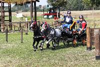 Photo n 38278&#10;SCHILDAU Chpt d'Eu Juniors photo FEI&#10;Valentine Lenormand (FRA)&#10;Affiche 43 fois&#10;Ajoute le 29/09/2016 08:57:10 par JeanClaudeGrognet&#10;&#10;--> Cliquer pour agrandir <--