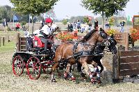Photo n 38279&#10;SCHILDAU Chpt d'Eu Juniors photo FEI&#10;Zsofia Kovacs (HUN)&#10;Affiche 43 fois&#10;Ajoute le 29/09/2016 08:57:10 par JeanClaudeGrognet&#10;&#10;--> Cliquer pour agrandir <--