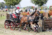 Photo n° 38279
SCHILDAU Chpt d'Eu Juniors photo FEI
Zsofia Kovacs (HUN)
Affichée 42 fois
Ajoutée le 29/09/2016 08:57:10 par JeanClaudeGrognet

--> Cliquer pour agrandir <--