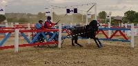 Photo n 38387&#10;&#10;&#10;Affiche 15 fois&#10;Ajoute le 12/10/2016 20:04:32 par JeanClaudeGrognet&#10;&#10;--> Cliquer pour agrandir <--