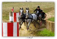 Photo n 38425&#10;LIGNIERES CdF 2016&#10;&#10;Affiche 33 fois&#10;Ajoute le 14/10/2016 09:17:10 par JeanClaudeGrognet&#10;&#10;--> Cliquer pour agrandir <--