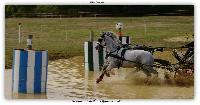 Photo n 38427&#10;LIGNIERES CdF 2016&#10;&#10;Affiche 21 fois&#10;Ajoute le 14/10/2016 09:17:10 par JeanClaudeGrognet&#10;&#10;--> Cliquer pour agrandir <--