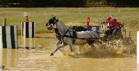 Photo n 38430&#10;LIGNIERES CdF 2016&#10;&#10;Affiche 13 fois&#10;Ajoute le 14/10/2016 09:17:10 par JeanClaudeGrognet&#10;&#10;--> Cliquer pour agrandir <--