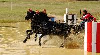 Photo n 38431&#10;LIGNIERES CdF 2016&#10;&#10;Affiche 34 fois&#10;Ajoute le 14/10/2016 09:17:10 par JeanClaudeGrognet&#10;&#10;--> Cliquer pour agrandir <--