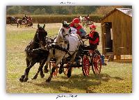 Photo n 38434&#10;LIGNIERES CdF 2016&#10;&#10;Affiche 26 fois&#10;Ajoute le 14/10/2016 09:17:10 par JeanClaudeGrognet&#10;&#10;--> Cliquer pour agrandir <--