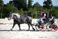 Photo n 38440&#10;Championnat de France Percheron. Le Pin au Haras&#10;25 septembre 2016. Photo Chevalandrieu&#10;Affiche 17 fois&#10;Ajoute le 18/10/2016 16:50:26 par Nadinetoudic&#10;&#10;--> Cliquer pour agrandir <--