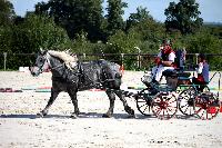 Photo n° 38440
Championnat de France Percheron. Le Pin au Haras
25 septembre 2016. Photo Chevalandrieu
Affichée 13 fois
Ajoutée le 18/10/2016 16:50:26 par Nadinetoudic

--> Cliquer pour agrandir <--