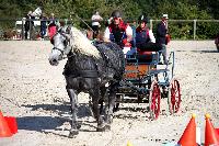 Photo n 38445&#10;Championnat de France Percheron. Le Pin au Haras&#10;25 septembre 2016. Photo Chevalandrieu&#10;Affiche 11 fois&#10;Ajoute le 18/10/2016 16:53:47 par Nadinetoudic&#10;&#10;--> Cliquer pour agrandir <--
