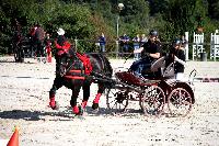 Photo n° 38454
Championnat de France Percheron. Le Pin au Haras
25 septembre 2016. Photo Chevalandrieu
Affichée 18 fois
Ajoutée le 18/10/2016 16:56:38 par Nadinetoudic

--> Cliquer pour agrandir <--