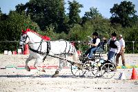 Photo n 38457&#10;Championnat de France Percheron. Le Pin au Haras&#10;25 septembre 2016. Photo Chevalandrieu&#10;Affiche 11 fois&#10;Ajoute le 18/10/2016 16:56:38 par Nadinetoudic&#10;&#10;--> Cliquer pour agrandir <--