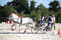 Photo n° 38457
Championnat de France Percheron. Le Pin au Haras
25 septembre 2016. Photo Chevalandrieu
Affichée 8 fois
Ajoutée le 18/10/2016 16:56:38 par Nadinetoudic

--> Cliquer pour agrandir <--