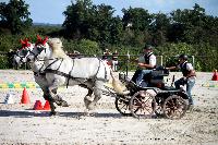 Photo n° 38458
Championnat de France Percheron. Le Pin au Haras
25 septembre 2016. Photo Chevalandrieu
Affichée 13 fois
Ajoutée le 18/10/2016 16:56:38 par Nadinetoudic

--> Cliquer pour agrandir <--