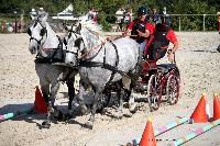 Photo n 38461&#10;Championnat de France Percheron. Le Pin au Haras&#10;25 septembre 2016. Photo Chevalandrieu&#10;Affiche 14 fois&#10;Ajoute le 18/10/2016 16:56:38 par Nadinetoudic&#10;&#10;--> Cliquer pour agrandir <--