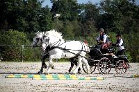 Photo n 38462&#10;Championnat de France Percheron. Le Pin au Haras&#10;25 septembre 2016. Photo Chevalandrieu&#10;Affiche 11 fois&#10;Ajoute le 18/10/2016 16:56:38 par Nadinetoudic&#10;&#10;--> Cliquer pour agrandir <--