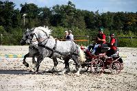 Photo n 38463&#10;Championnat de France Percheron. Le Pin au Haras&#10;25 septembre 2016. Photo Chevalandrieu&#10;Affiche 51 fois&#10;Ajoute le 18/10/2016 16:59:22 par Nadinetoudic&#10;&#10;--> Cliquer pour agrandir <--