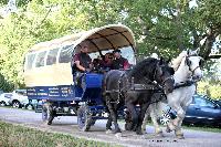 Photo n 38471&#10;Championnat de France Percheron. Le Pin au Haras&#10;25 septembre 2016. Photo Chevalandrieu&#10;Affiche 36 fois&#10;Ajoute le 18/10/2016 16:59:22 par Nadinetoudic&#10;&#10;--> Cliquer pour agrandir <--