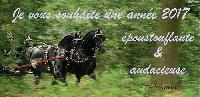 Photo n 38485&#10;Bonne anne  tous !&#10;&#10;Affiche 25 fois&#10;Ajoute le 02/01/2017 12:57:51 par JeanClaudeGrognet&#10;&#10;--> Cliquer pour agrandir <--