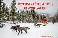 Photo n° 38490
Bonne année à tous !

Affichée 11 fois
Ajoutée le 02/01/2017 12:57:51 par JeanClaudeGrognet

--> Cliquer pour agrandir <--