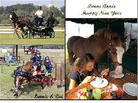 Photo n 38495&#10;Bonne anne  tous !&#10;&#10;Affiche 39 fois&#10;Ajoute le 02/01/2017 12:57:52 par JeanClaudeGrognet&#10;&#10;--> Cliquer pour agrandir <--