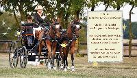 Photo n 38501&#10;Bonne anne  tous !&#10;&#10;Affiche 27 fois&#10;Ajoute le 02/01/2017 12:57:52 par JeanClaudeGrognet&#10;&#10;--> Cliquer pour agrandir <--