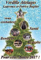 Photo n 38511&#10;Meilleurs voeux  tous &#10;&#10;Affiche 24 fois&#10;Ajoute le 06/01/2017 08:39:07 par JeanClaudeGrognet&#10;&#10;--> Cliquer pour agrandir <--