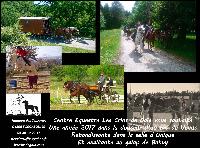 Photo n 38512&#10;Bonne anne  tous !&#10;&#10;Affiche 27 fois&#10;Ajoute le 07/01/2017 11:53:15 par JeanClaudeGrognet&#10;&#10;--> Cliquer pour agrandir <--
