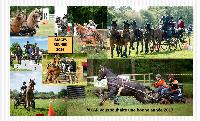 Photo n 38513&#10;Bonne Anne  tous !&#10;&#10;Affiche 48 fois&#10;Ajoute le 12/01/2017 15:01:43 par JeanClaudeGrognet&#10;&#10;--> Cliquer pour agrandir <--