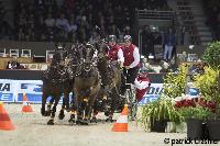 Photo n 38522&#10;CAIW Bordeaux 2017 - photo Patrick Crasnier&#10;GEORGES VON STEIN&#10;Affiche 20 fois&#10;Ajoute le 05/02/2017 09:44:52 par JeanClaudeGrognet&#10;&#10;--> Cliquer pour agrandir <--