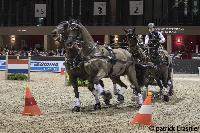 Photo n 38525&#10;CAIW Bordeaux 2017 - photo Patrick Crasnier&#10;EDOUARD SIMONET&#10;Affiche 31 fois&#10;Ajoute le 05/02/2017 09:44:52 par JeanClaudeGrognet&#10;&#10;--> Cliquer pour agrandir <--