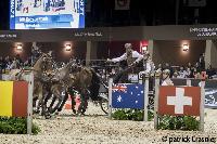 Photo n 38529&#10;CAIW Bordeaux 2017 - photo Patrick Crasnier&#10;KOOS de RONDE&#10;Affiche 45 fois&#10;Ajoute le 05/02/2017 09:44:53 par JeanClaudeGrognet&#10;&#10;--> Cliquer pour agrandir <--