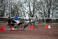 Photo n 38623&#10;CAI Lisieux 2017. Photo Chevalandrieu&#10;Nolwenn CAYROU. FRA&#10;Affiche 17 fois&#10;Ajoute le 10/03/2017 15:45:12 par Nadinetoudic&#10;&#10;--> Cliquer pour agrandir <--