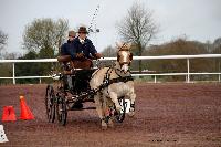 Photo n 38626&#10;CAI Lisieux 2017. Photo Chevalandrieu&#10;Denny SCHUDDINCK. BEL&#10;Affiche 16 fois&#10;Ajoute le 10/03/2017 15:45:12 par Nadinetoudic&#10;&#10;--> Cliquer pour agrandir <--