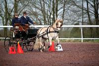Photo n 38627&#10;CAI Lisieux 2017. Photo Chevalandrieu&#10;Denny SCHUDDINCK. BEL&#10;Affiche 10 fois&#10;Ajoute le 10/03/2017 15:45:12 par Nadinetoudic&#10;&#10;--> Cliquer pour agrandir <--