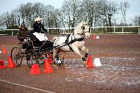 Photo n 38629&#10;CAI Lisieux 2017. Photo Chevalandrieu&#10;Emilie MORICHON. FRA&#10;Affiche 16 fois&#10;Ajoute le 10/03/2017 15:45:12 par Nadinetoudic&#10;&#10;--> Cliquer pour agrandir <--