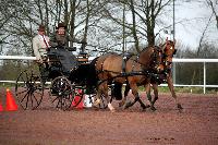 Photo n 38632&#10;CAI Lisieux 2017. Photo Chevalandrieu&#10;Etienne LOUESSE. BEL&#10;Affiche 14 fois&#10;Ajoute le 10/03/2017 15:45:12 par Nadinetoudic&#10;&#10;--> Cliquer pour agrandir <--
