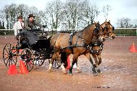 Photo n 38633&#10;CAI Lisieux 2017. Photo Chevalandrieu&#10;Etienne LOUESSE. BEL&#10;Affiche 19 fois&#10;Ajoute le 10/03/2017 15:45:12 par Nadinetoudic&#10;&#10;--> Cliquer pour agrandir <--