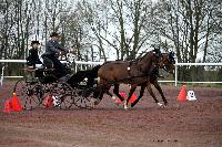 Photo n 38635&#10;CAI Lisieux 2017. Photo Chevalandrieu&#10;Christophe DEVLIEGHERE. BEL&#10;Affiche 19 fois&#10;Ajoute le 10/03/2017 15:45:12 par Nadinetoudic&#10;&#10;--> Cliquer pour agrandir <--