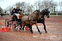 Photo n 38645&#10;CAI Lisieux 2017. Photo Chevalandrieu&#10;Franois DUTILLOY. FRA&#10;Affiche 28 fois&#10;Ajoute le 10/03/2017 15:45:13 par Nadinetoudic&#10;&#10;--> Cliquer pour agrandir <--