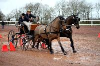 Photo n° 38645
CAI Lisieux 2017. Photo Chevalandrieu
François DUTILLOY. FRA
Affichée 26 fois
Ajoutée le 10/03/2017 15:45:13 par Nadinetoudic

--> Cliquer pour agrandir <--