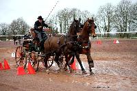 Photo n 38647&#10;CAI Lisieux 2017. Photo Chevalandrieu&#10;Pierre JUNG. FRA&#10;Affiche 56 fois&#10;Ajoute le 10/03/2017 15:45:13 par Nadinetoudic&#10;&#10;--> Cliquer pour agrandir <--