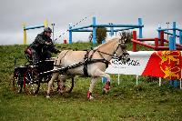 Photo n 38650&#10;CAI Lisieux 2017. Photo Chevalandrieu&#10;Denny SCHUDDINCK. BEL&#10;Affiche 12 fois&#10;Ajoute le 11/03/2017 17:29:17 par Nadinetoudic&#10;&#10;--> Cliquer pour agrandir <--