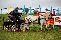 Photo n 38651&#10;CAI Lisieux 2017. Photo Chevalandrieu&#10;Denny SCHUDDINCK. BEL&#10;Affiche 15 fois&#10;Ajoute le 11/03/2017 17:29:17 par Nadinetoudic&#10;&#10;--> Cliquer pour agrandir <--