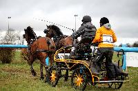 Photo n 38653&#10;CAI Lisieux 2017. Photo Chevalandrieu&#10;Hanspeter SOMMER. SUI&#10;Affiche 18 fois&#10;Ajoute le 11/03/2017 17:29:17 par Nadinetoudic&#10;&#10;--> Cliquer pour agrandir <--