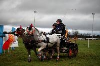 Photo n 38657&#10;CAI Lisieux 2017. Photo Chevalandrieu&#10;Valentine LENORMAND. FRA&#10;Affiche 16 fois&#10;Ajoute le 11/03/2017 17:29:17 par Nadinetoudic&#10;&#10;--> Cliquer pour agrandir <--