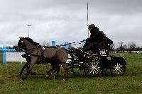 Photo n 38662&#10;CAI Lisieux 2017. Photo Chevalandrieu&#10;Wenny VANHEE. BEL&#10;Affiche 13 fois&#10;Ajoute le 11/03/2017 17:29:17 par Nadinetoudic&#10;&#10;--> Cliquer pour agrandir <--