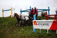 Photo n 38663&#10;CAI Lisieux 2017. Photo Chevalandrieu&#10;Melanie VAN DE BUNT. NED&#10;Affiche 17 fois&#10;Ajoute le 11/03/2017 17:29:17 par Nadinetoudic&#10;&#10;--> Cliquer pour agrandir <--