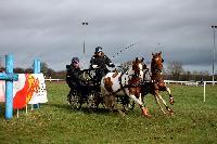 Photo n 38665&#10;CAI Lisieux 2017. Photo Chevalandrieu&#10;Heidi TE POELE. NED&#10;Affiche 21 fois&#10;Ajoute le 11/03/2017 17:29:18 par Nadinetoudic&#10;&#10;--> Cliquer pour agrandir <--