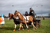 Photo n 38666&#10;CAI Lisieux 2017. Photo Chevalandrieu&#10;Heidi TE POELE. NED&#10;Affiche 24 fois&#10;Ajoute le 11/03/2017 17:29:18 par Nadinetoudic&#10;&#10;--> Cliquer pour agrandir <--
